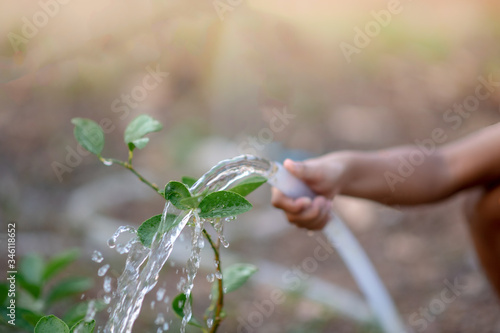 The hand of a cute little boy is watering the plants in his garden.