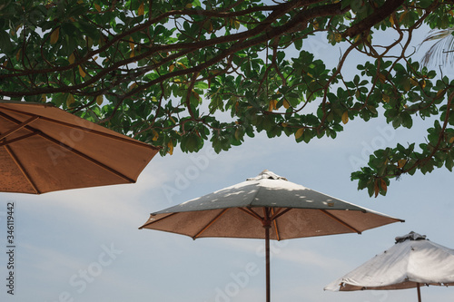 Tropical landscape  sunbeds and parasols on the beach