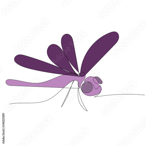 vector, white background, dragonfly, insect, isolated