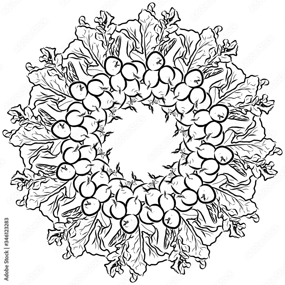 Outline sketch of Radishes arranged in a circle