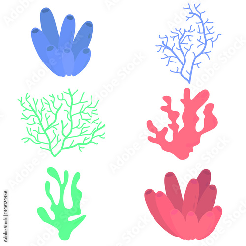 Collection corals and sea weeds isolated on white background. 