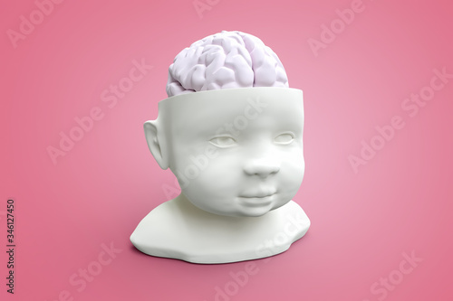 Model of the child's head and brain