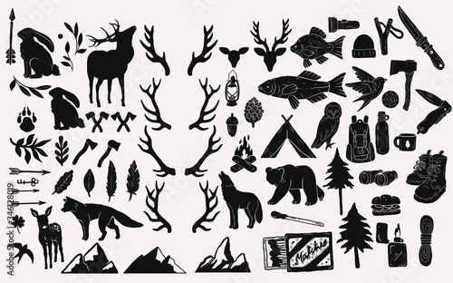 hand drawn vintage rustic elements. forest wildlife  hiking and camping equipment  tools  axes. nature illustrations  animals  mountains and trees. stamp silhouette graphics for logo illustrations