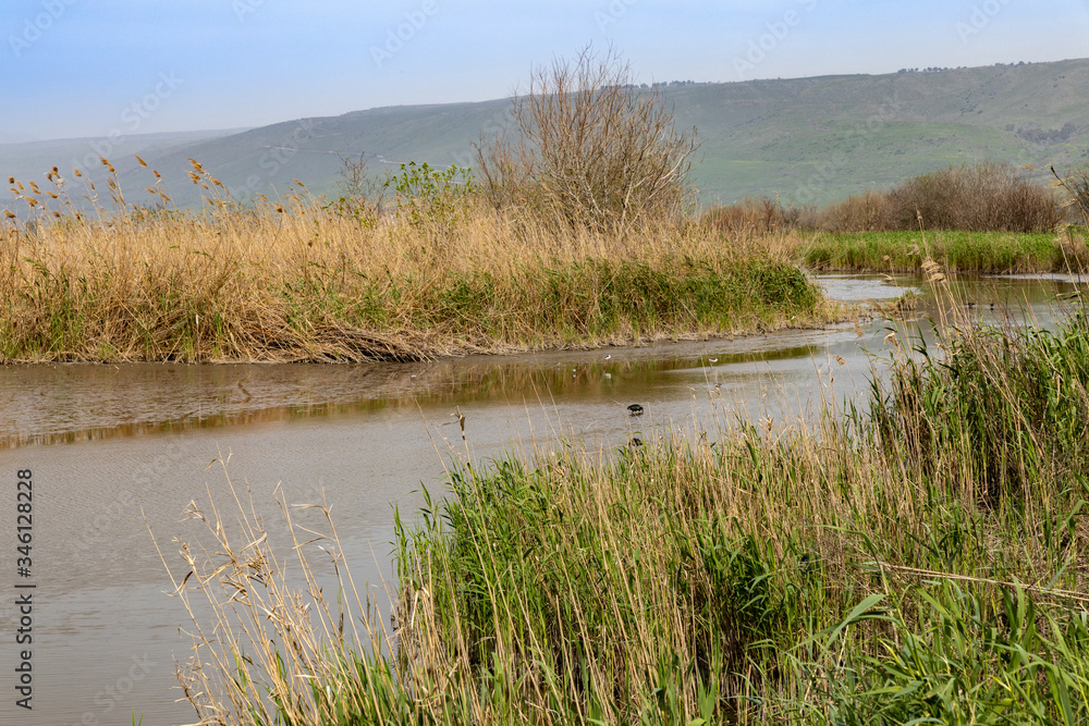 Agmon aHula - lake and nature reserve for birds Agmon aHula - lake and nature reserve for birds