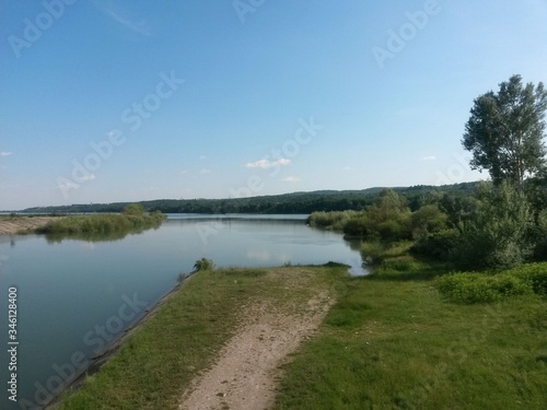 lake close to forest in summer season in sunny day