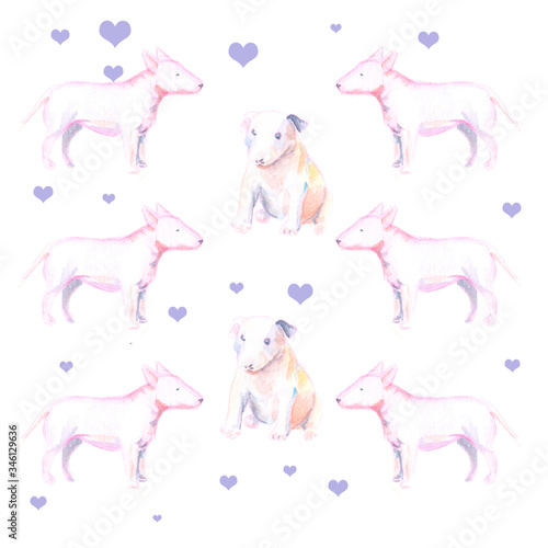 set of pit bulls seamless pattern. can be used for printing on fabric  clothing  t-shirts. Postcards  booklets. Backgrounds  web