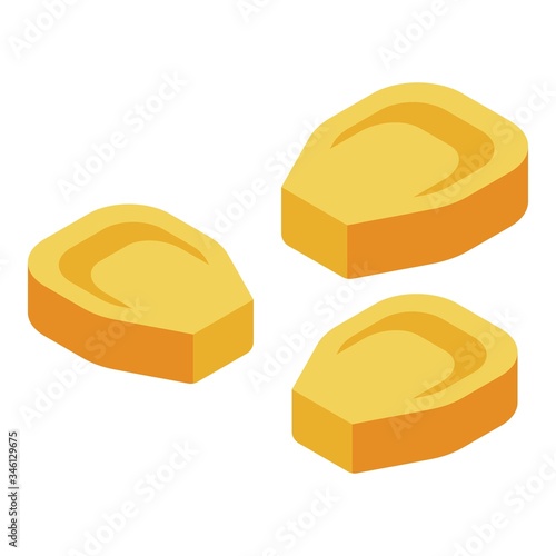 Corn grains icon. Isometric of corn grains vector icon for web design isolated on white background