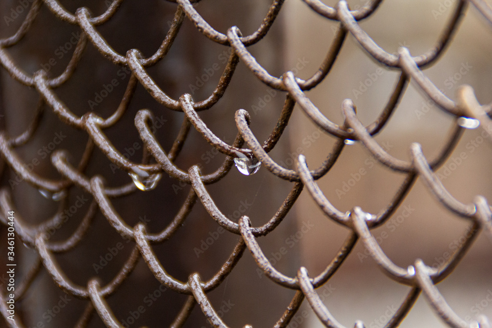 Fototapeta premium 0651