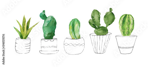 Watercolor sets of cacti highlighted on a white background. Flower illustration is suitable for your greeting cards and invitations.