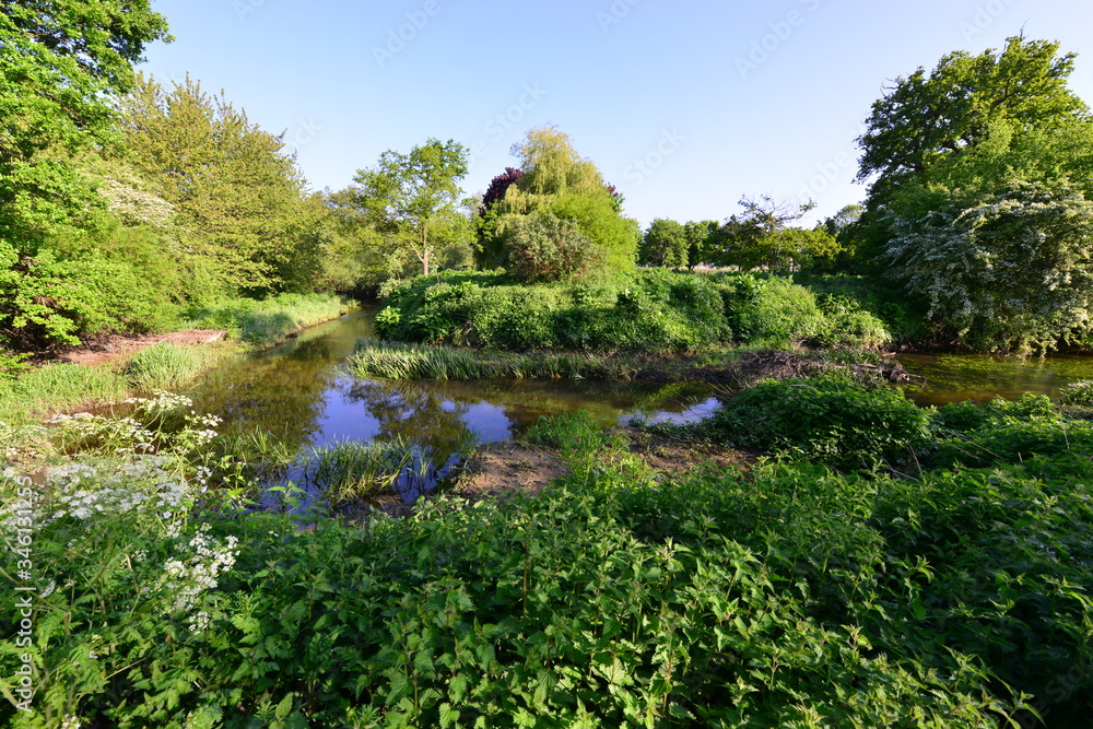 The River Mole early in the morning in Spring 2020.