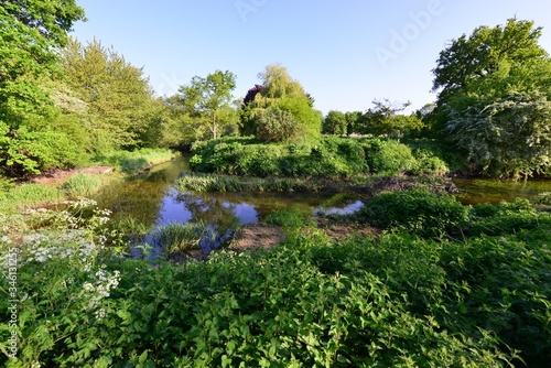 The River Mole early in the morning in Spring 2020.