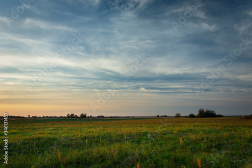 Evening view of a green meadow and clouds on a blue sky