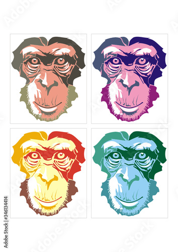 Colorful chimpanzee portrait. Four monky faces in vivid colors.
