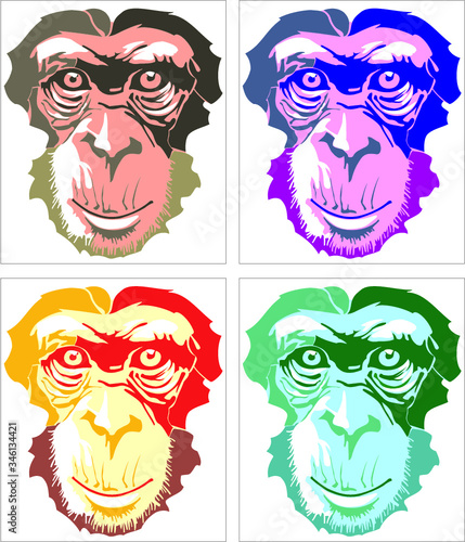 Colorful chimpanzee portrait. Four monky faces in vivid colors.