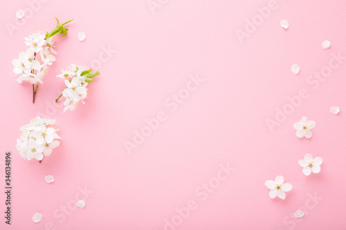 Fresh white cherry blossoms on light pink table background. Pastel color. Flat lay. Closeup. Empty place for inspirational text  lovely quote or positive sayings. Top down view.