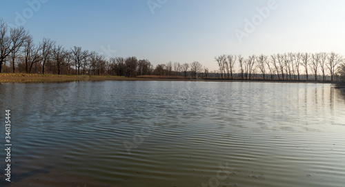 pond with trees around and clear sky during early springtime evening © honza28683