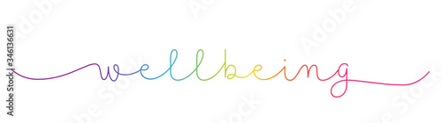 WELLBEING rainbow-colored vector monoline calligraphy banner with swashes