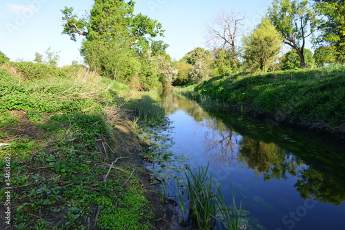 The River Mole early in the morning in Spring 2020.