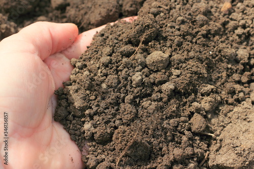 A handful of fertile peat soil