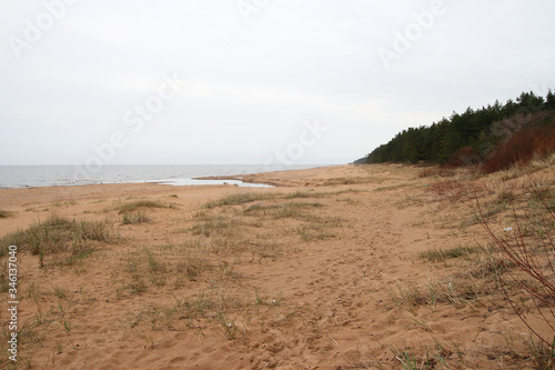
Shore of the Baltic Sea in Estonia