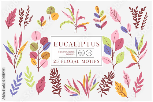 Eucaliptus set isolated on bright background. Vector modern design for t-shirt print material cloth and textile. For invite and wedding card wallpaper poster greeting card