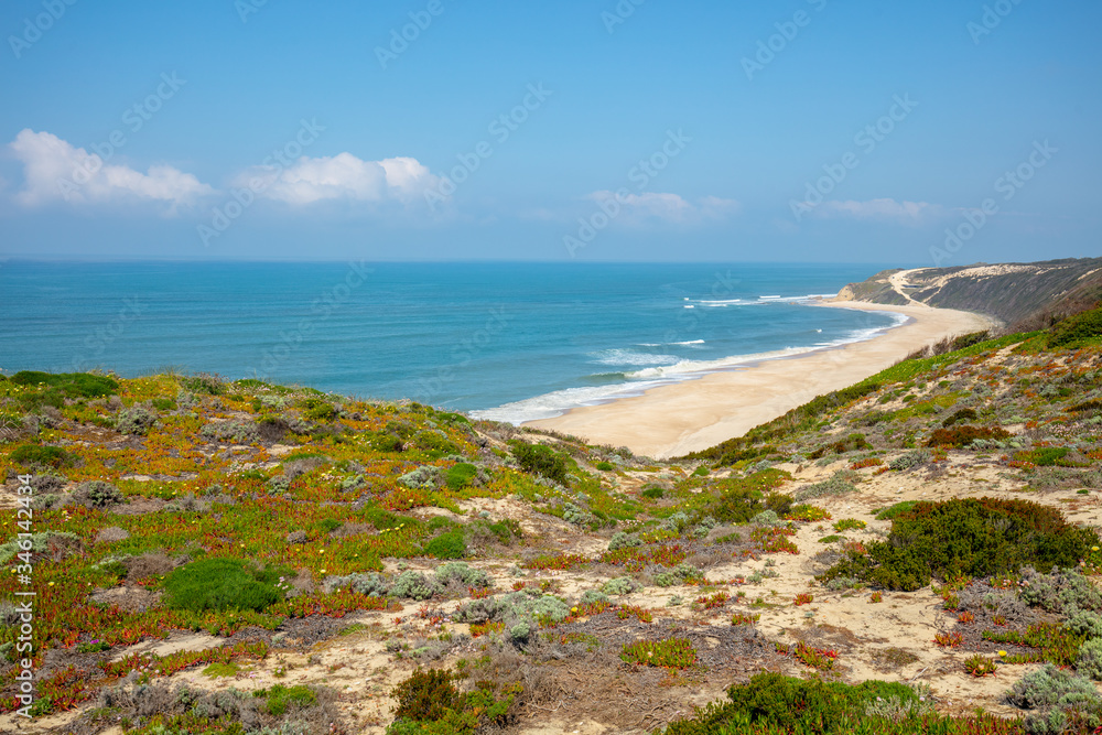 Beautiful blossoming hills along the ocean shore in spring on a sunny day. Polvoeira the beach, Portugal, Europe