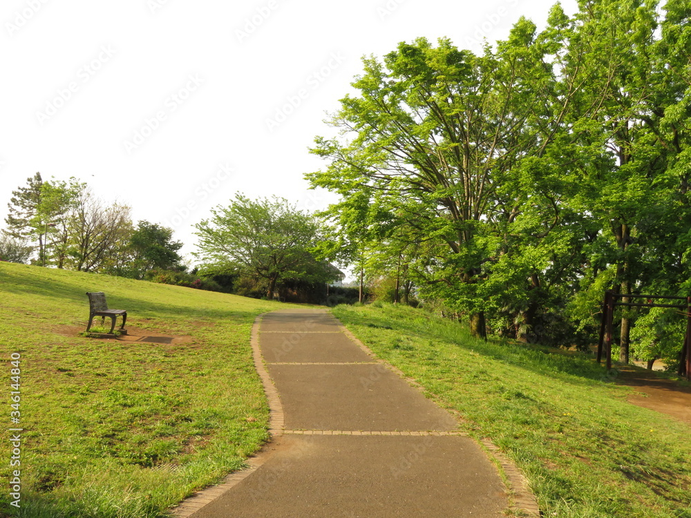 Fototapeta premium 天気の良い日の誰もいない閑散とした公園