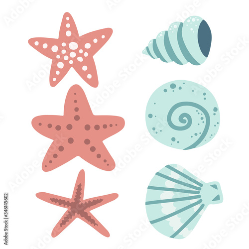 mollusks and starfish, underwater world set of elements, sea ocean, vector illustration