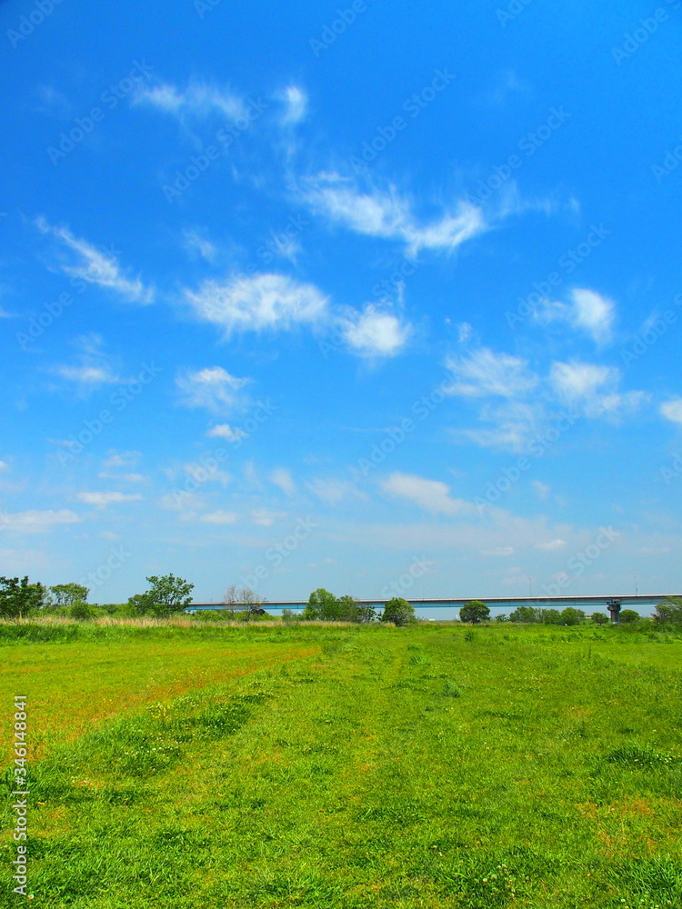 初夏の江戸川河川敷風景