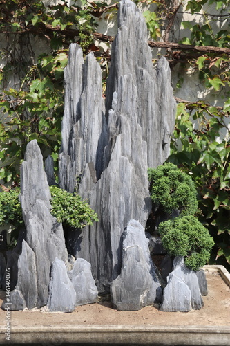 Bonsaïs sur une roche, jardin à Suzhou, Chine 