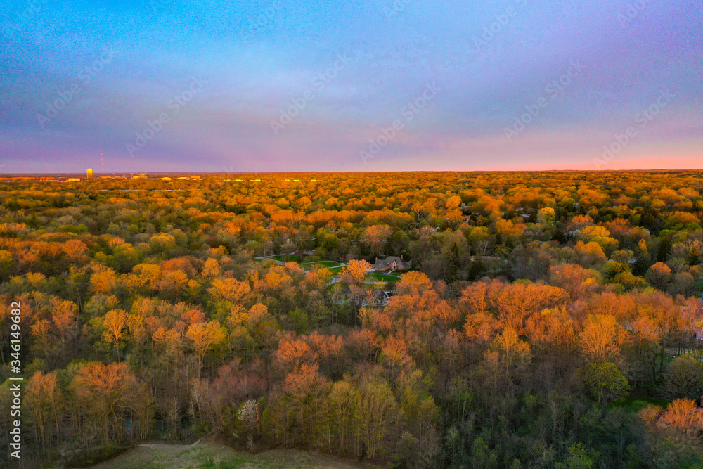 Suburban Michigan area with beautiful spring trees, colorful sky, long view of horizon.