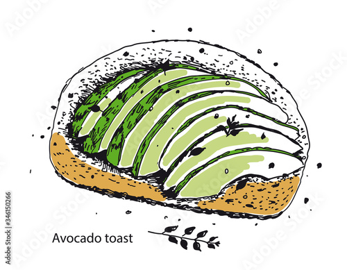 Avocado toast. Fresh toasted bread with ripe avocado.