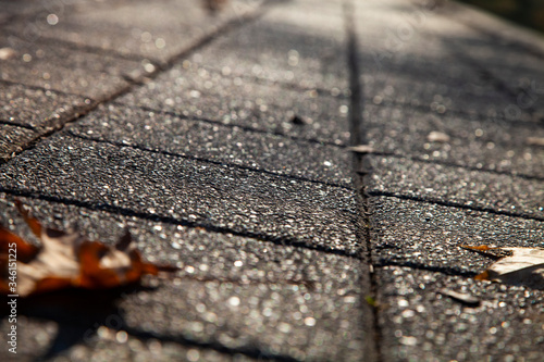 One maple leaf on a stone sidewalk.
