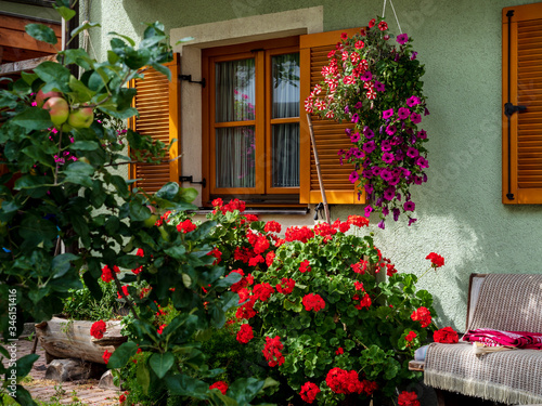 Fototapeta Naklejka Na Ścianę i Meble -  Flowering village in Alsace. Sunlit streets full of flowers.