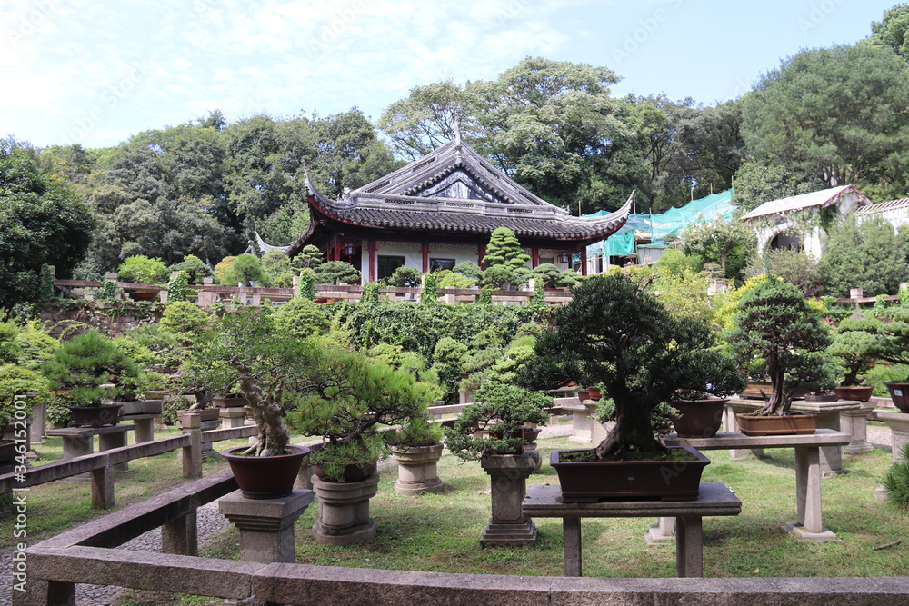 Jardin à bonsaïs, colline du tigre à Suzhou, Chine Jardin à bonsaïs, colline du tigre à Suzhou, Chine