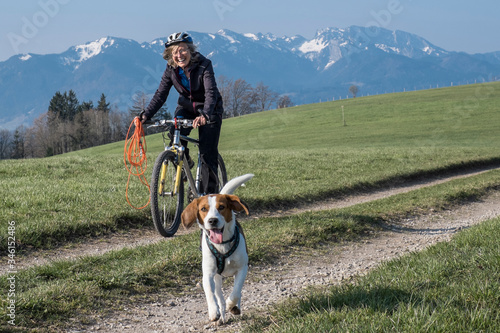 Beagle auf Mountainbiketour