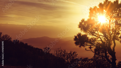 Picturesque Mountain Landscape At Sunset. Bright Sun Passes Through The Branches Of Trees. Wallpaper  Banner  Postcard Idea