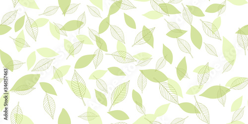 Green leaves seamless background on white background. Vector illustration.