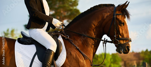 Foto Girl equestrian rider riding a beautiful horse  in the rays of the setting sun