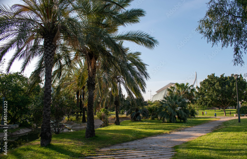Palms, bush with green grass and water Palms, bush with green grass and water