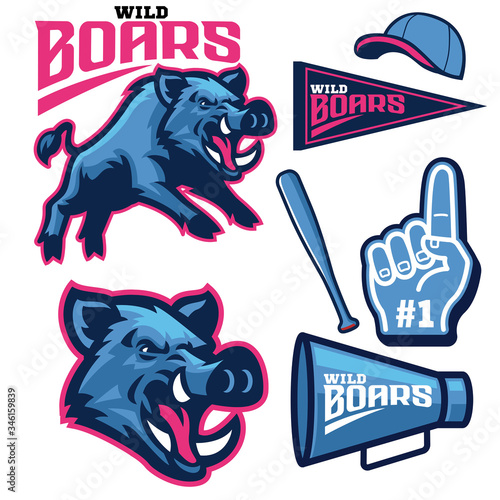 set bundle of sport wild boar mascot photo