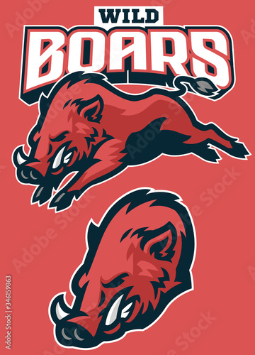 set wild boar sport mascot