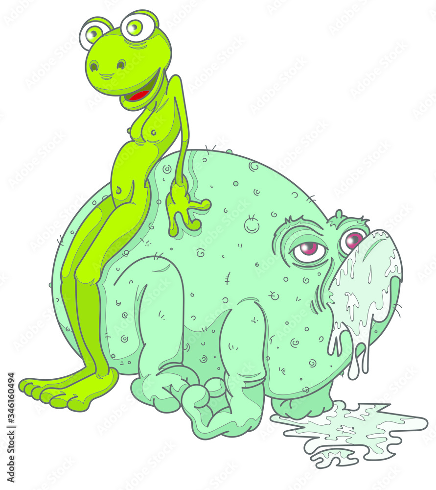 Fototapeta premium Grenouille et crapaud