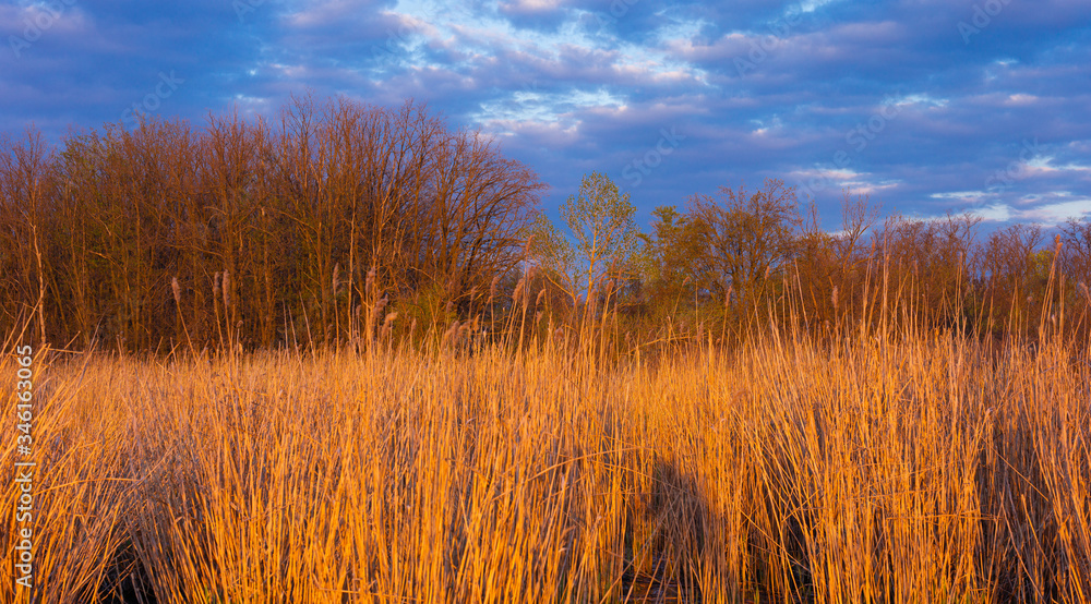 Evening landscape with the setting sun. Evening landscape with the setting sun.