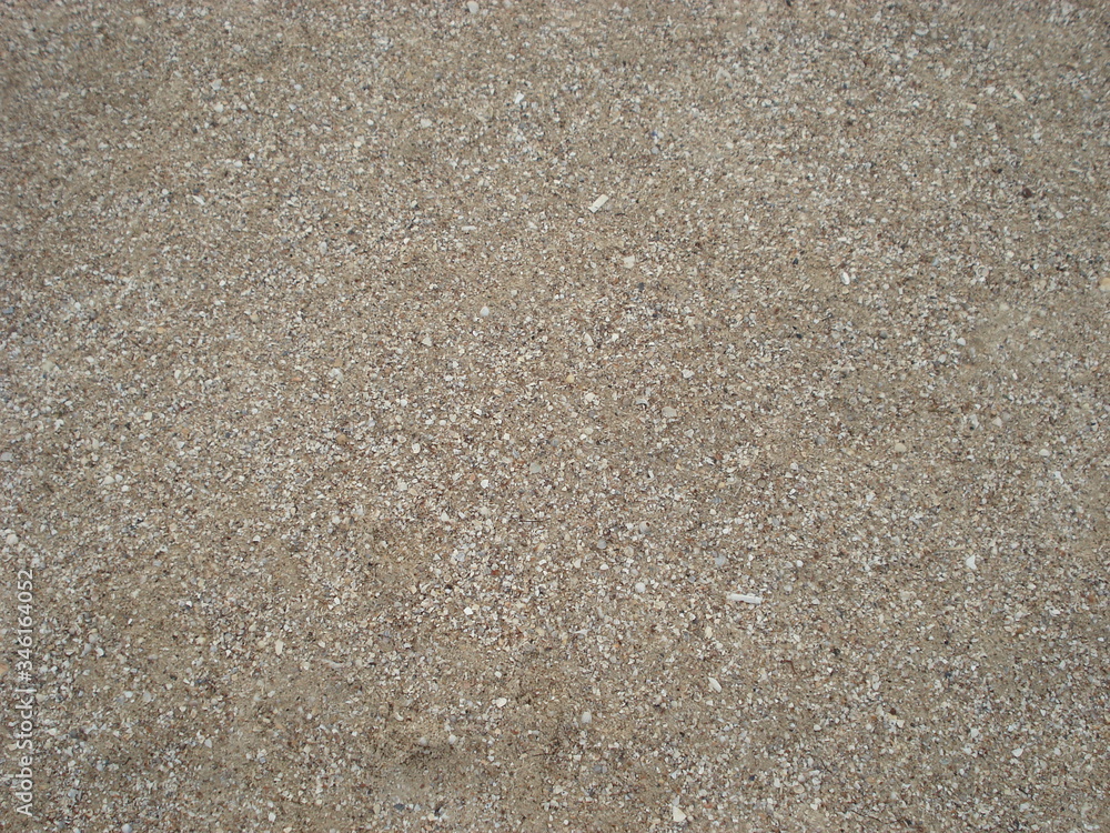 background of crumb shells on the beach background of crumb shells on the beach