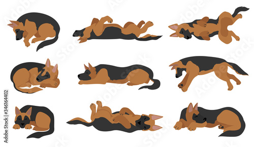 Sleeping dogs poses. German shepherd dogs