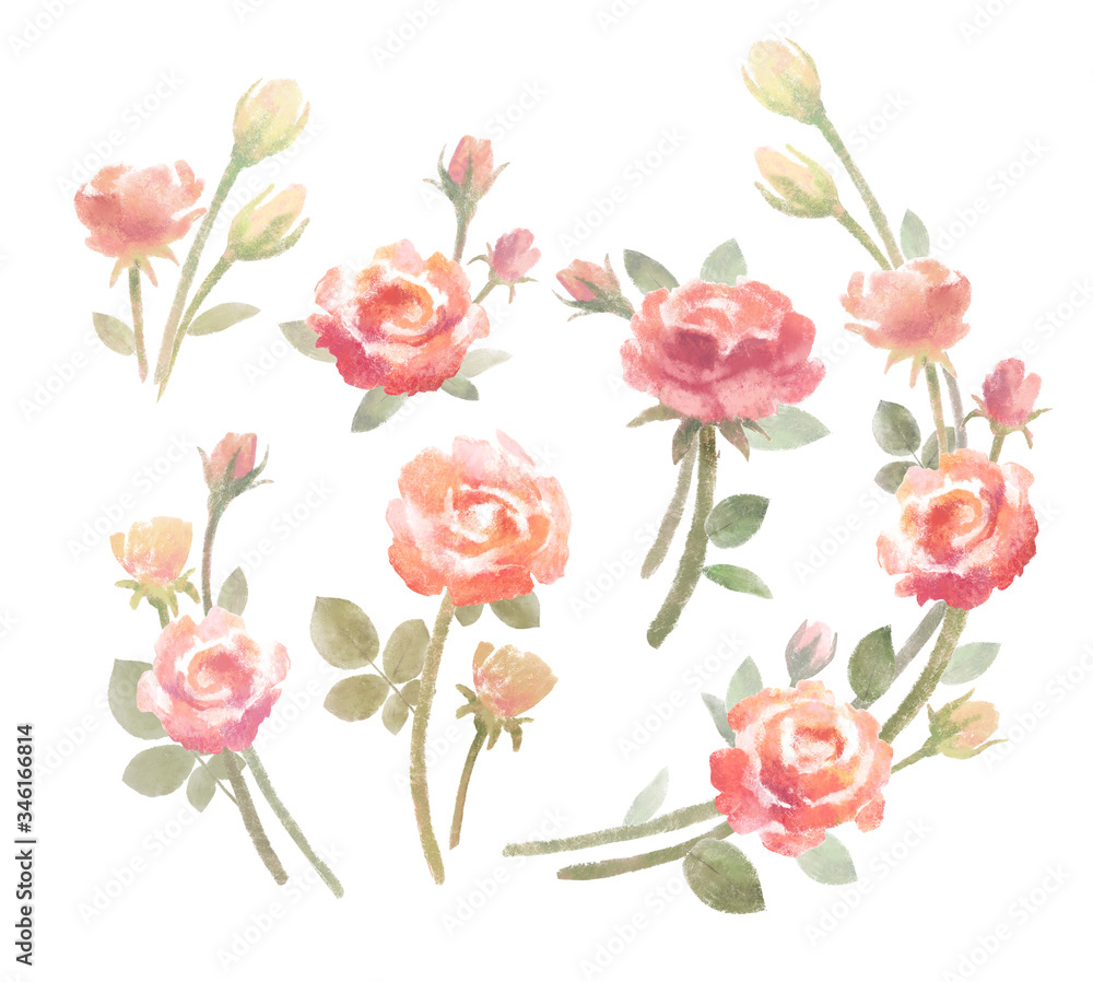 Rose flower bouquets clip art elements, stock illustration. Pink watercolor floral compositions for designing greeting card or wedding invitation.