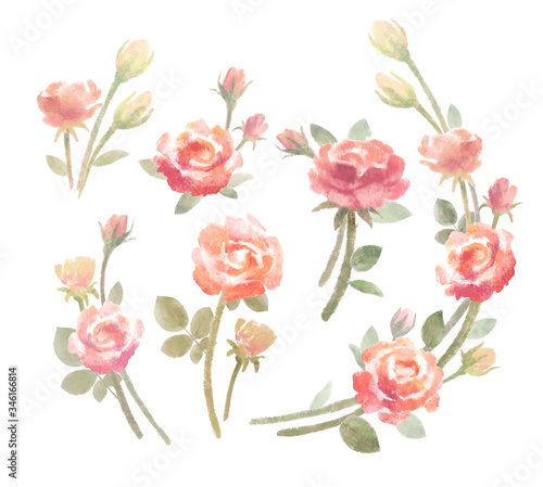 Wallpaper Mural Rose flower bouquets clip art elements, stock illustration. Pink watercolor floral compositions for designing greeting card or wedding invitation. Torontodigital.ca