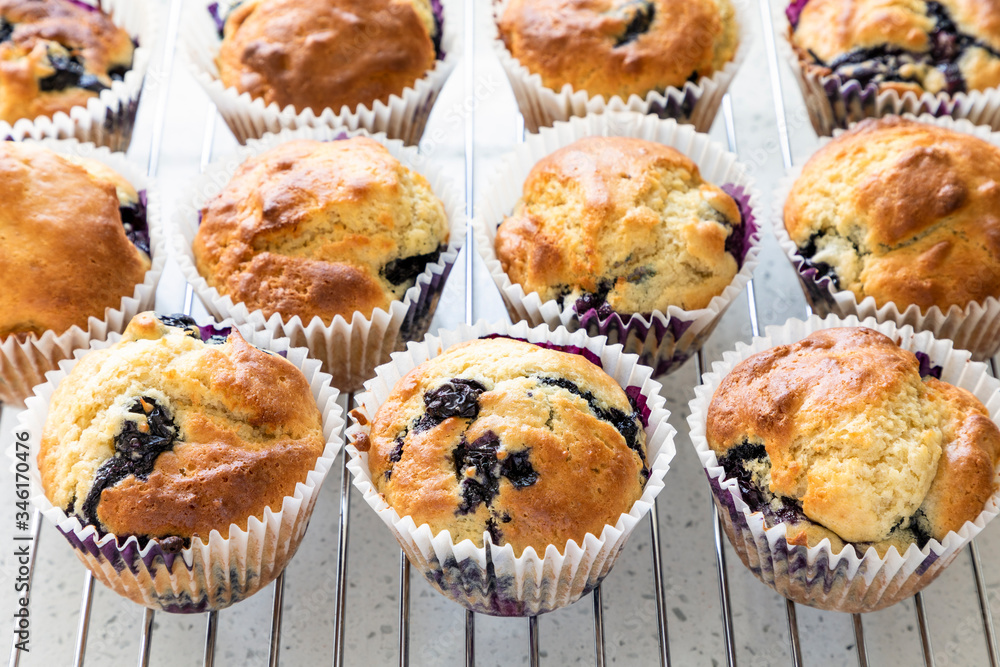 Fresh home baked blueberry muffins Fresh home baked blueberry muffins