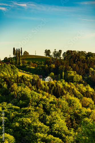 South styria vineyards landscape  near Gamlitz  Austria  Europe. Grape hills view from wine road in spring. Tourist destination  travel spot.
